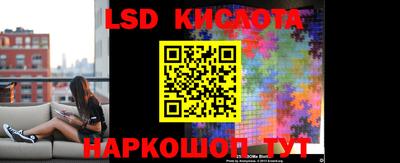 шишки Бузулук