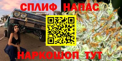 не бодяженный Будённовск