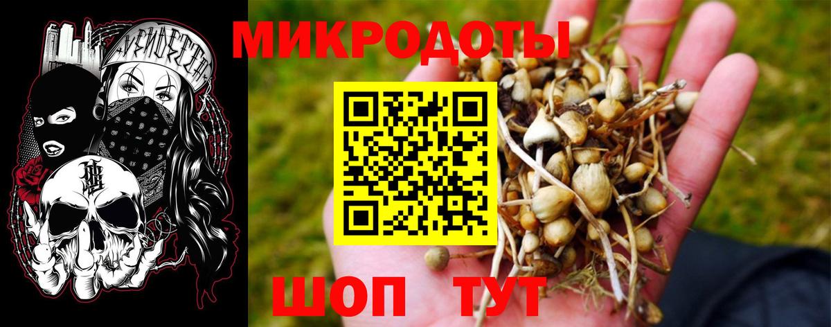 Псилоцибиновые грибы прущие грибы Луга
