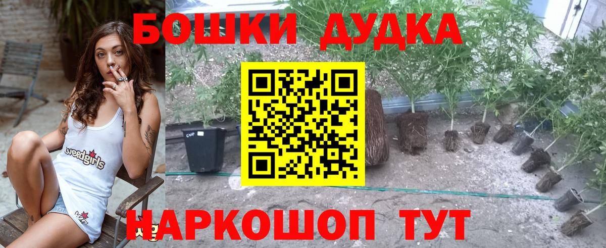 Конопля LSD WEED  Каннабис SATIVA & INDICA  Конопля LSD WEED  Луга  Вход с VPN  Каннабис LSD WEED 